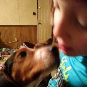 Meet your Posher, Mark